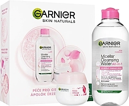 Garnier Skin Naturals Rose (Mizellenwasser /400 ml + Creme /50 ml) - Gesichtspflegeset — Bild N1