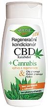 Regenerierender Conditioner mit Cannabidiol für alle Haartypen - Bione Cosmetics CBD Kanabidiol — Bild N1