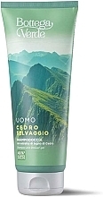 Bottega Verde Cedro Selvaggio - Duschgel-Shampoo — Bild N1