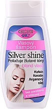 Shampoo mit blauen Pigmenten gegen Gelbstich für blondes, graues und weißes Haar mit Koffein, Keratin und Arganöl - Bione Cosmetics Bio Silver Shine Shampoo — Bild N1