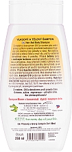 2in1 Shampoo und Conditioner mit Honig und Coenzym Q10 - Bione Cosmetics Honey + Q10 Shampoo — Bild N2