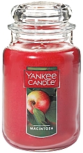 Düfte, Parfümerie und Kosmetik Duftkerze - Yankee Candle Macintosh