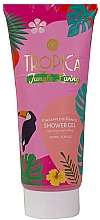 Düfte, Parfümerie und Kosmetik Duschgel Ananas und Mango - Accentra Tropica Pinapple & Mango Shower Gel