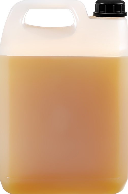Nährendes Shampoo mit Arganöl und Honig für trockenes und stumpfes Haar - Farmavita Back Bar No2 Nourishing Shampoo Argan And Honey — Bild N5