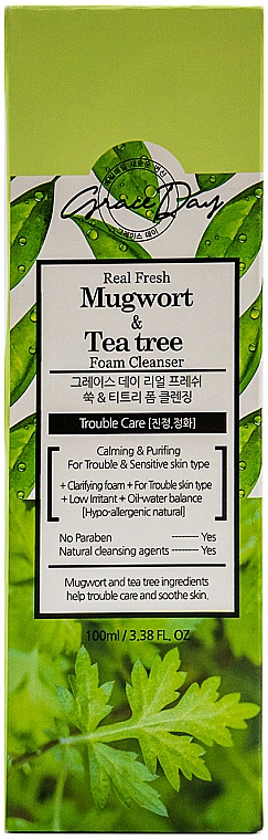 Reinigungsschaum mit Wermut- und Teebaumextrakt - Grace Day Real Fresh Mugwort & Tea Tree Foam Cleanse — Bild N1