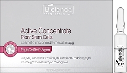 Aktives Konzentrat mit pflanzlichen Stammzellen für Gesicht und Körper - Bielenda Professional Meso Med Program Active Concentrate with Plant Stem Cells — Bild N1