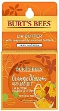 Lippenbutter Orangenblüte und Pistazien - Burt's Bees Orange Blossom & Pistachio Lip Butter — Bild N2