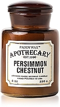 Düfte, Parfümerie und Kosmetik Duftkerze im Glas - Paddywax Apothecary Artisan Made Soywax Candle Persimmon & Chestnut