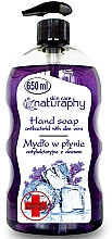 Düfte, Parfümerie und Kosmetik Antibakterielle Flüssigseife mit Lavendel und Aloe Vera - Bluxcosmetics Naturaphy Hand Soap