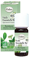 Düfte, Parfümerie und Kosmetik Organisches ätherisches Öl Kampferbaum - Galeo Organic Essential Oil Ravintsara