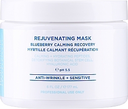 Nährende und revitalisierende Gesichtsmaske mit Heidelbeere - HydroPeptide Rejuvenating Mask — Bild N3