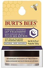 Lippencreme für die Nacht - Burt's Bees Overnight Intensive Lip Treatment — Bild N3