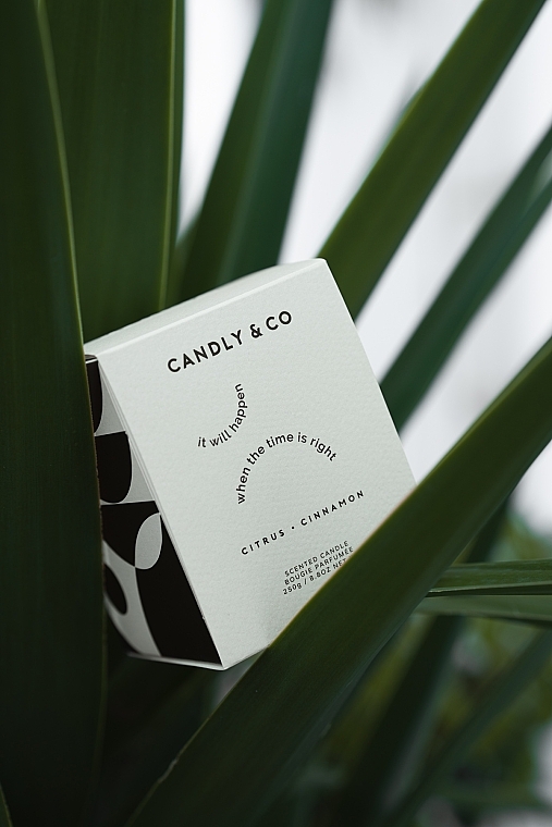 Duftkerze - Candly & Co No.3 Candle It Will Happen When The Time Is Right — Bild N2