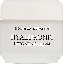 Feuchtigkeitsspendende Gesichtscreme - Heimish Moringa Ceramide Hylauronic Hydrating Cream — Bild N1