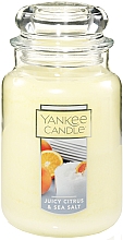Düfte, Parfümerie und Kosmetik Duftkerze - Yankee Candle Juicy Citrus & Sea Salt