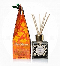 Raumerfrischer Lily Of The Valley - Song of India Lily Of The Valley Reed Diffuser — Bild N4