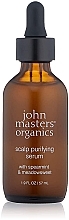 Kopfhautserum - John Masters Organics Scalp Purifying Serum — Bild N1