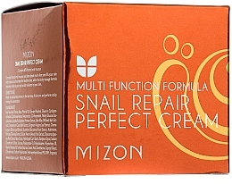 Reparierende und feuchtigkeitsspendende Gesichtscreme für trockene Haut mit Schneckenextrakt - Mizon Snail Repair Perfect Cream — Bild N2