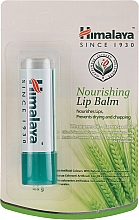 Pflegender Lippenbalsam mit Weizenkeimöl und Karottensamenöl - Himalaya Herbals Lip Balm — Bild N1
