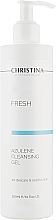 Düfte, Parfümerie und Kosmetik Azulen-Reinigungsgel für empfindliche Haut - Christina Fresh Azulene Cleansing Gel