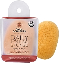 Konjak-Gesichtsschwamm mit Kurkuma - Daily Concepts Daily Konjac Sponge Turmeric — Bild N2