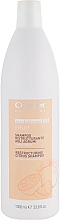 Düfte, Parfümerie und Kosmetik Revitalisierendes Haarshampoo mit Zitrusextrakt - Oyster Cosmetics Sublime Fruit Citrus Shampoo
