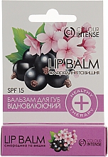 Lippenbalsam Johannisbeere und Kirsche - Colour Intense Balamce Lip Balm — Bild N2