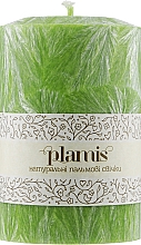 Düfte, Parfümerie und Kosmetik Dekorative Palmkerze - Plamis