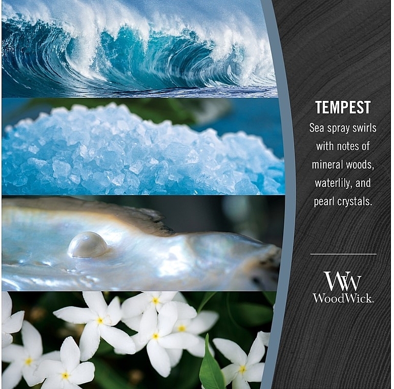 Duftkerze im Glas - Woodwick Ellipse Candle Tempest  — Bild N4