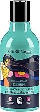 Düfte, Parfümerie und Kosmetik Shampoo für fettiges Haar - Vis Plantis Gift of Nature Normalizing Shampoo For Greasy Hair