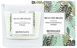Düfte, Parfümerie und Kosmetik Berdoues Selva do Brazil - Duftkerze