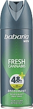 Deospray mit Cannabis für Männer - Babaria Cannabis Deo Spray — Bild N1