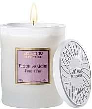 Düfte, Parfümerie und Kosmetik Duftkerze im Glas Fresh Fig - Collines De Provence Fresh Fig Scented Candle