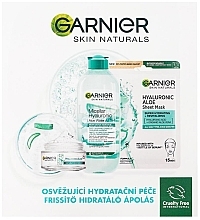 Gesichtspflegeset - Garnier Skin Naturals Hyaluronic Aloe (Mizellenwasser 400ml + Gel 50ml + Maske 28g)  — Bild N1