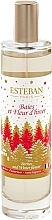 Esteban Berries And Winter Flower - Parfümiertes Spray für zu Hause — Bild N1