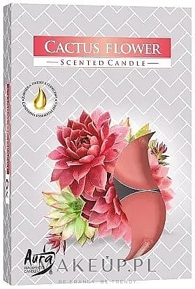 GESCHENK! Duftkerze-Set Kaktusblüte - Bispol Cactus Flower Scented Candles  — Bild N1