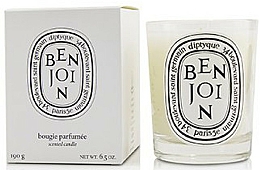 Parfümierte Kerze - Diptyque Benjoin — Bild N2