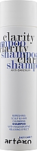 Düfte, Parfümerie und Kosmetik Anti-Shuppen Shampoo - Artego Easy Care T Clarity Shampoo