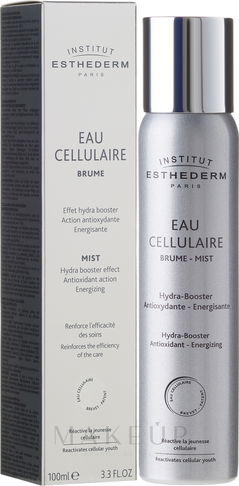 Feuchtigkeitsspendender und belebender Gesichtsnebel mit Antioxidantien - Institut Esthederm Cellular Mist — Bild 100 ml