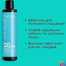 Tiefenreinigendes Shampoo - Matrix Total Results High Amplify Root Up Wash — Bild N4