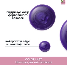 Anti-Gelbstich Shampoo - Biolage ColorLast Purple Shampoo — Bild N4