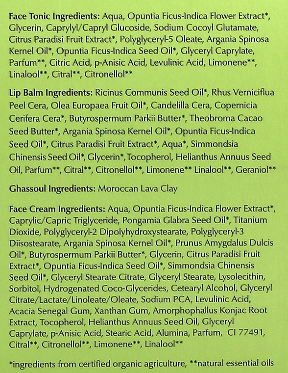 Gesichtspflegeset - Hej Organic Travel Kit Cactus (Gesichtstonikum 50 ml + Lippenbalsam 4,7 g + Gesichts- und Dekolletémaske 10 g + Gesichtscreme SPF15 15 ml + Kosmetiktasche 1St.) — Bild N4