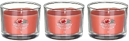 Duftkerzen-Set Tropische Brise - Yankee Candle Tropical Breeze (candle/3x37g) — Bild N2