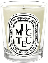 Duftkerze - Diptyque Muguet Candle — Bild N1