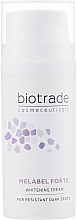 Aufhellende Creme gegen Pigmentflecken - Biotrade Melabel Forte Cream — Bild N3
