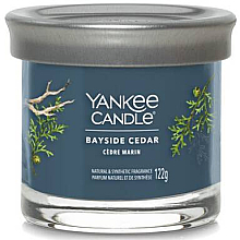 Duftkerze im Glas Bayside Cedar - Yankee Candle Singnature — Bild N1