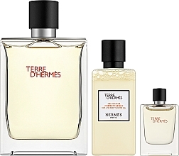 Düfte, Parfümerie und Kosmetik Hermes Terre d’Hermes - Duftset (Eau de Toilette 100ml + Duschgel 40ml + Eau de Toilette 5ml) 