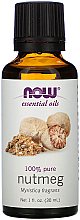 Düfte, Parfümerie und Kosmetik Ätherisches Öl Muskatnuss - Now Foods Essential Oils 100% Pure Nutmeg