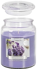 Düfte, Parfümerie und Kosmetik Premium-Duftkerze im Glas Lavendel - Bispol Premium Line Aura Scented Candle Lavender 
