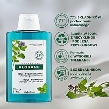 Detox-Shampoo gegen Schadstoffe mit Wasserminze - Klorane Anti-Pollution Detox Shampoo With Aquatic Mint — Bild N3